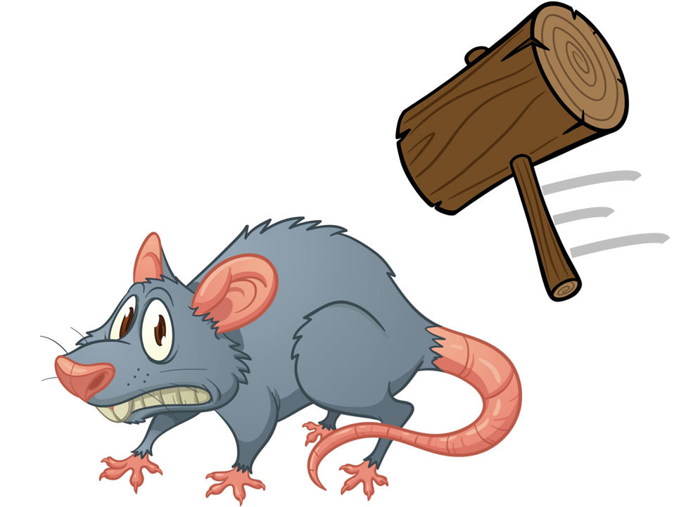 Do you have a Splat the Rat approach to resolving operational issues?