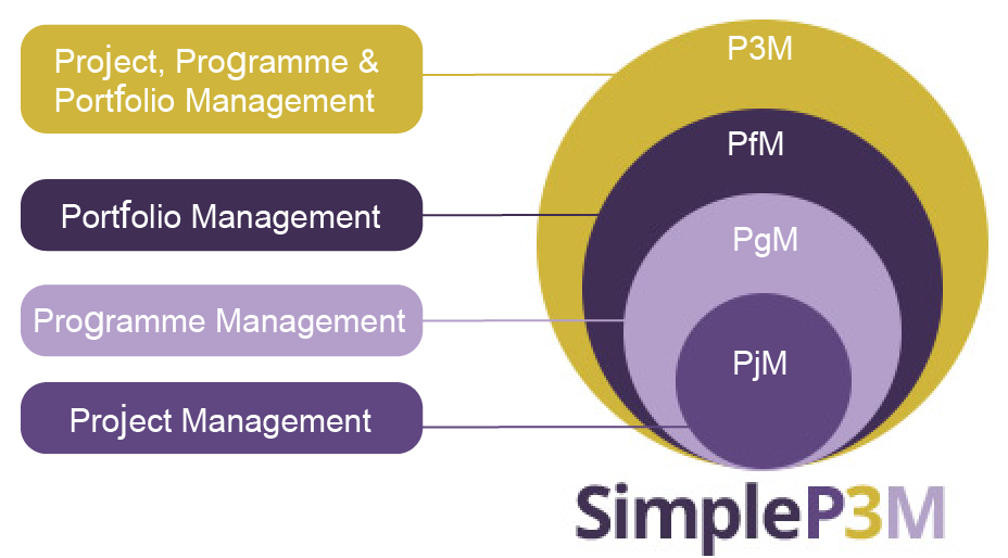 SimpleP3M3 Assessment